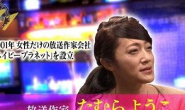 娱乐圈大爆料贴纸,揭秘明星背后的秘密与真相