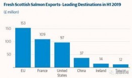 可以投稿的新闻爆料