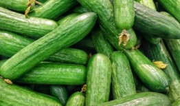 金伊娜免费吃瓜,揭秘娱乐圈幕后故事